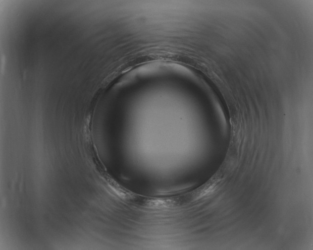 X0000073700239200608241425