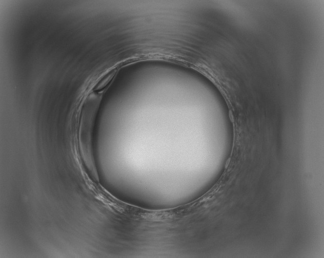 X0000073700241200608241424