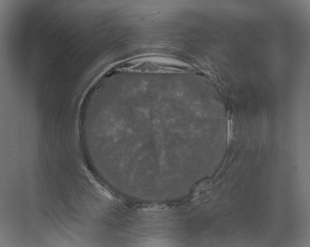 X0000073700243200608241424