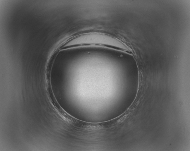 X0000073700245200608241424