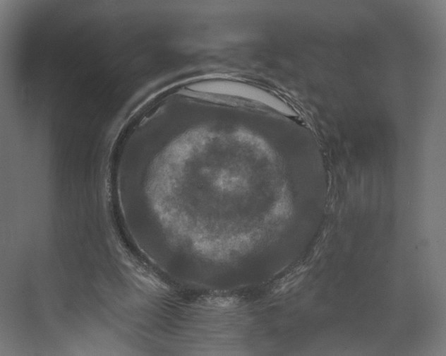 X0000073700247200608241424