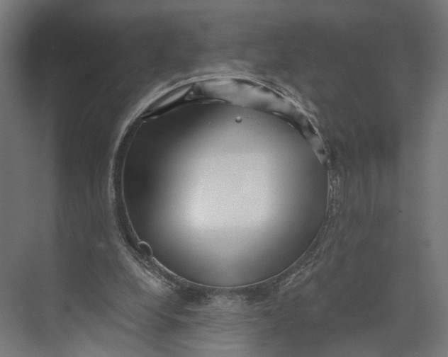 X0000073700248200608241424