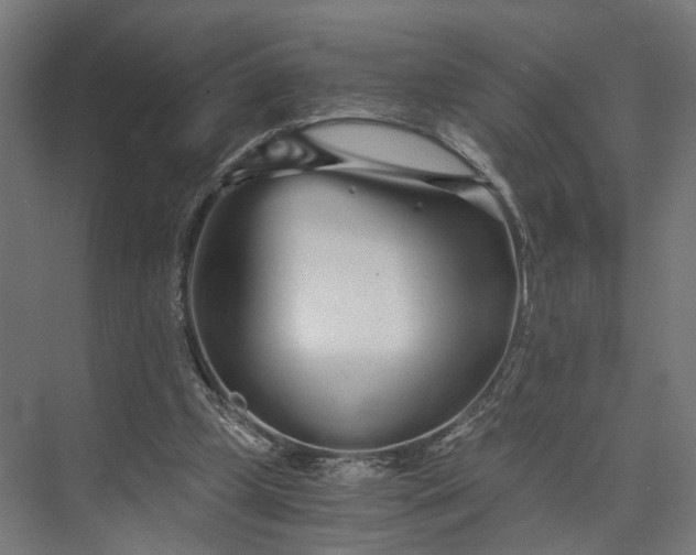 X0000073700249200608241424