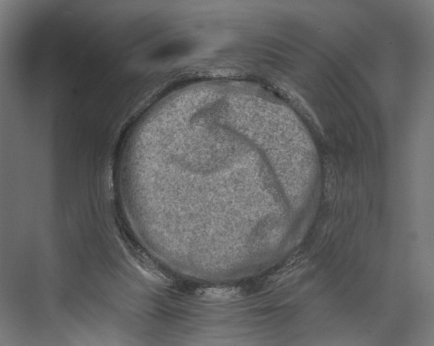 X0000073700251200608241424