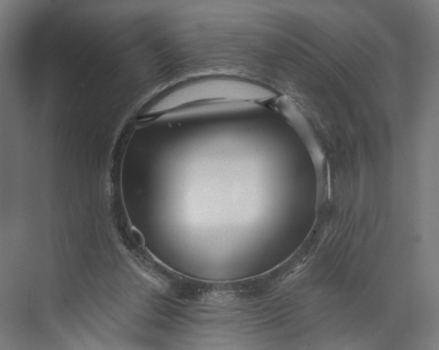 X0000073700252200608241424