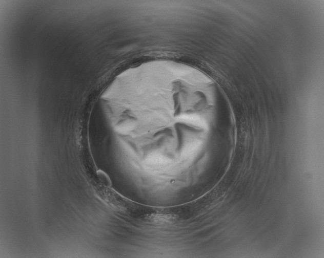 X0000073700255200608241424