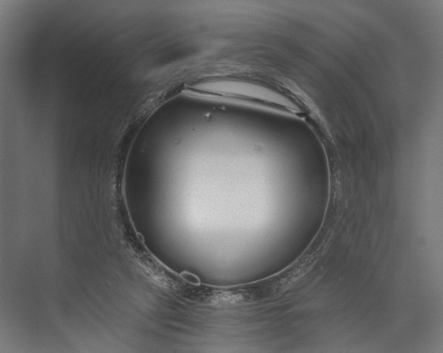 X0000073700257200608241424