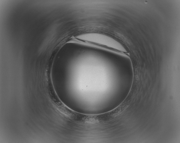 X0000073700258200608241425