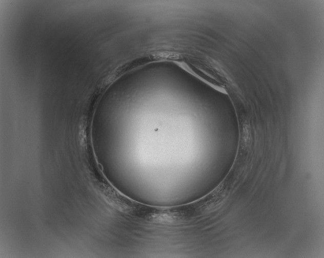 X0000073700259200608241425