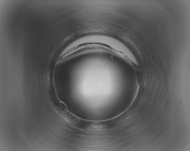 X0000073700260200608241425