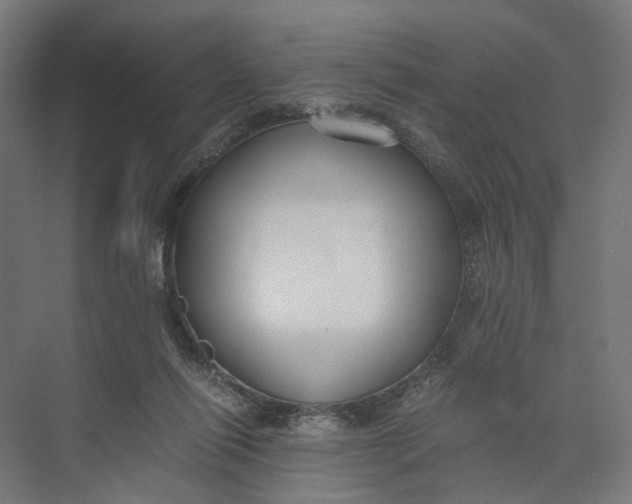 X0000073700262200608241425