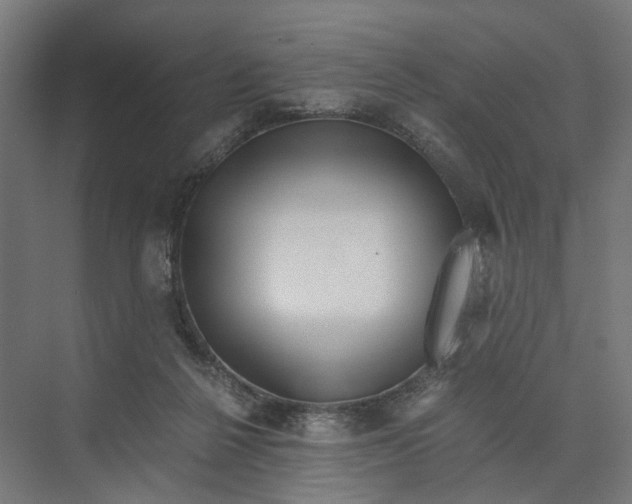 X0000073700264200608241425