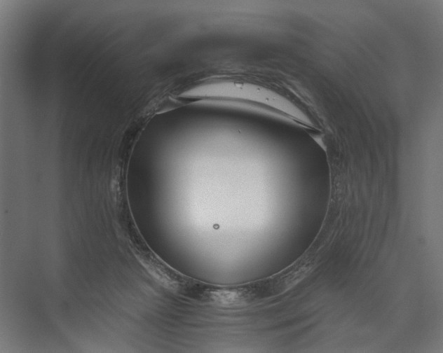 X0000073700265200608241425