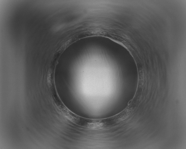 X0000073700266200608241425