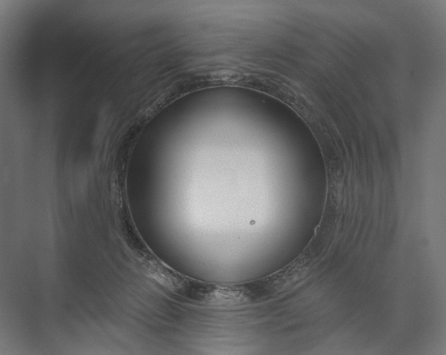 X0000073700270200608241425