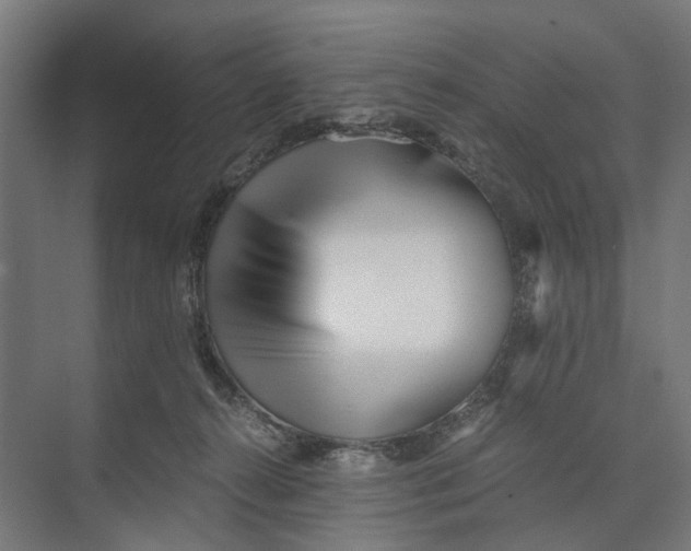 X0000073700272200608241425