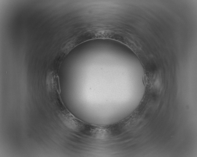 X0000073700276200608241425