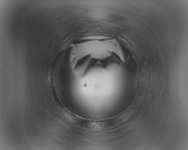 X0000073700277200608241425