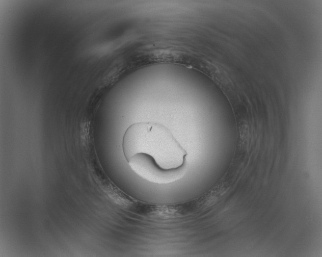 X0000073700278200608241425