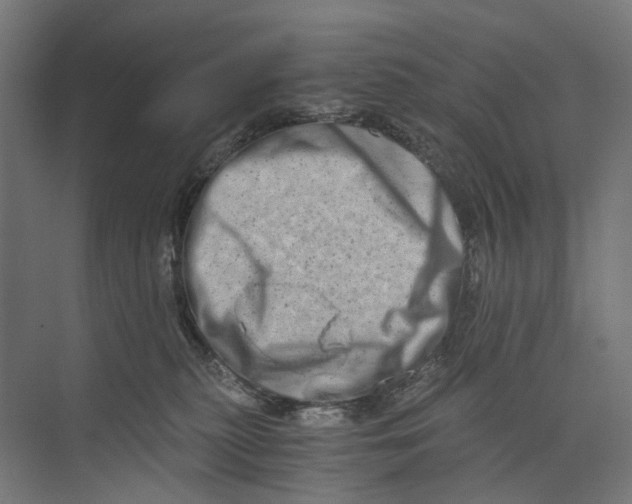 X0000073700279200608241425