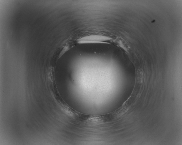 X0000073700280200608241425