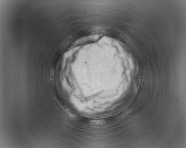 X0000073700281200608241425