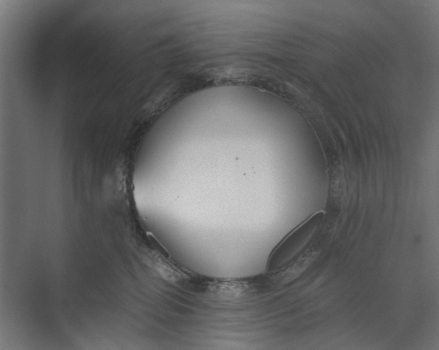 X0000073700282200608241425