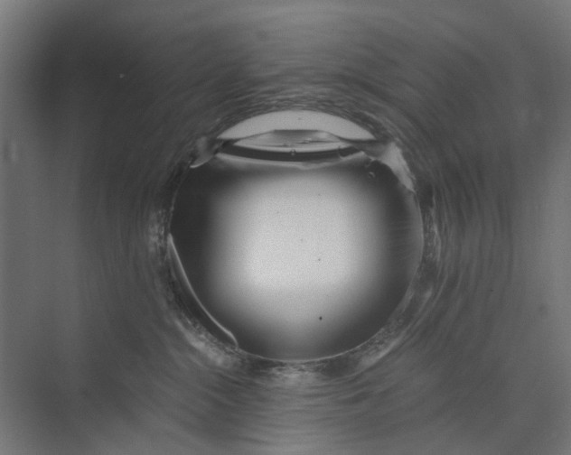 X0000073700284200608241425