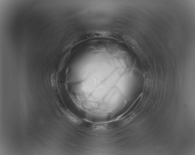 X0000073700285200608241425