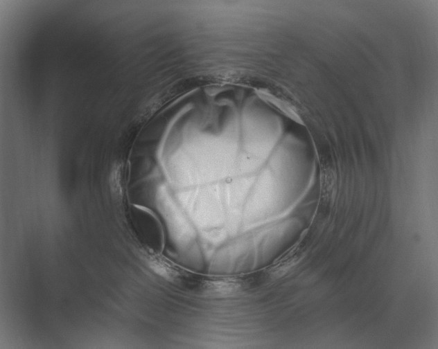 X0000073700286200608241425