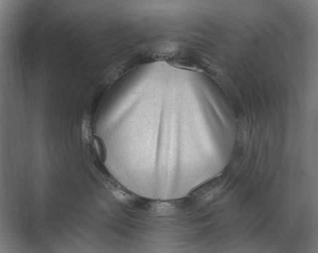 X0000073700287200608241425