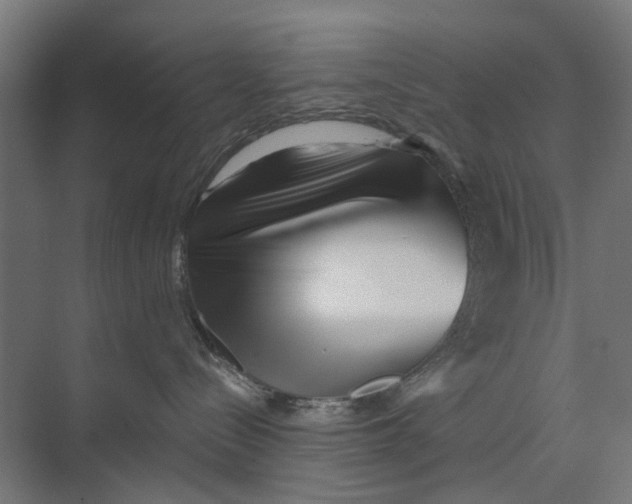 X0000073700288200608241425