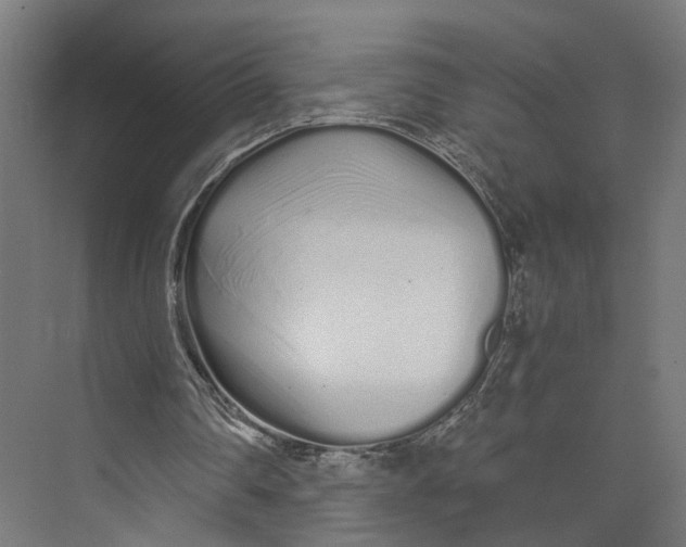 X0000073700290200608241424