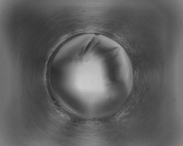 X0000073700292200608241424