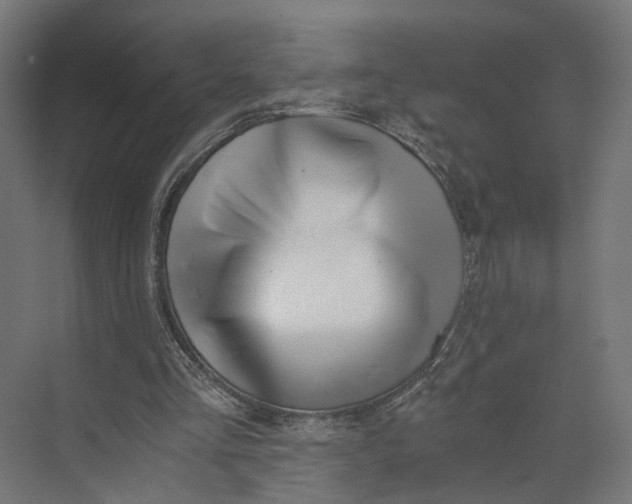 X0000073700293200608241424