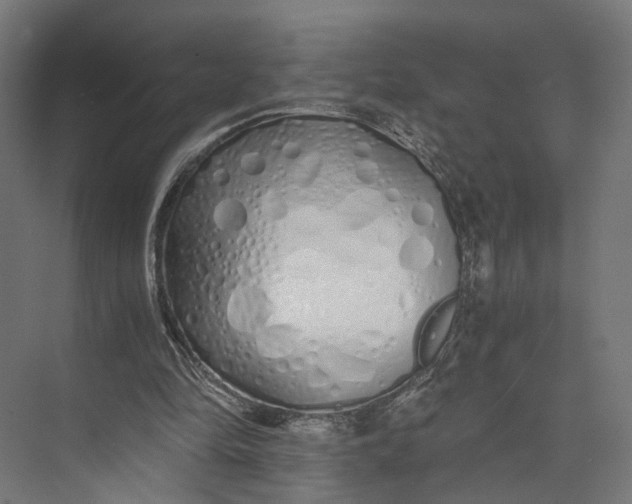 X0000073700294200608241424