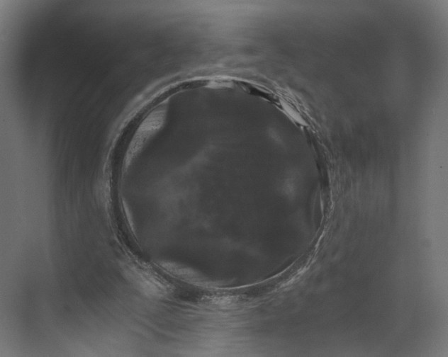 X0000073700295200608241424