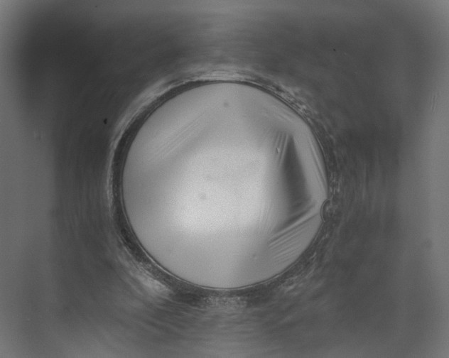 X0000073700296200608241424