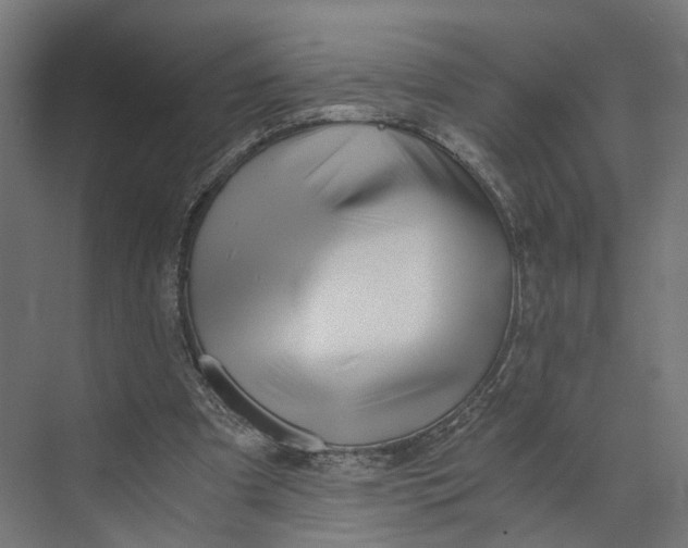 X0000073700297200608241424