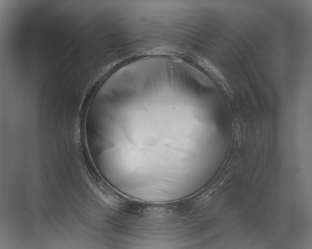 X0000073700298200608241424