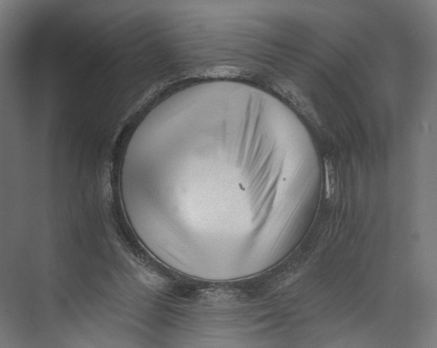 X0000073700300200608241424