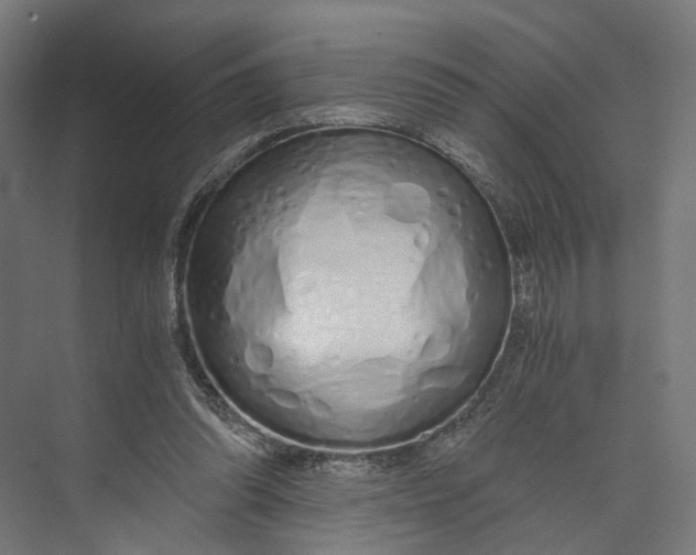 X0000073700302200608241424