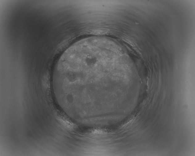 X0000073700303200608241424