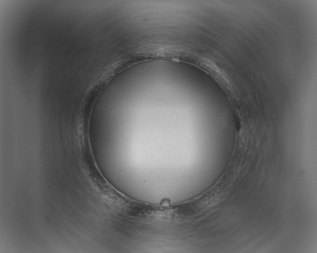 X0000073700306200608241424