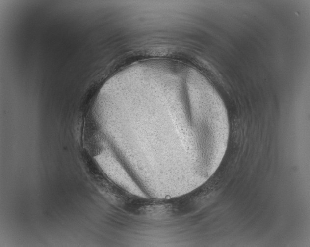 X0000073700307200608241424