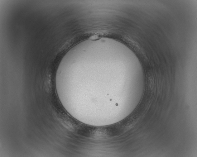 X0000073700308200608241424