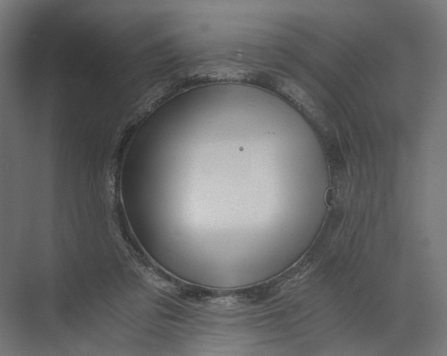 X0000073700309200608241424