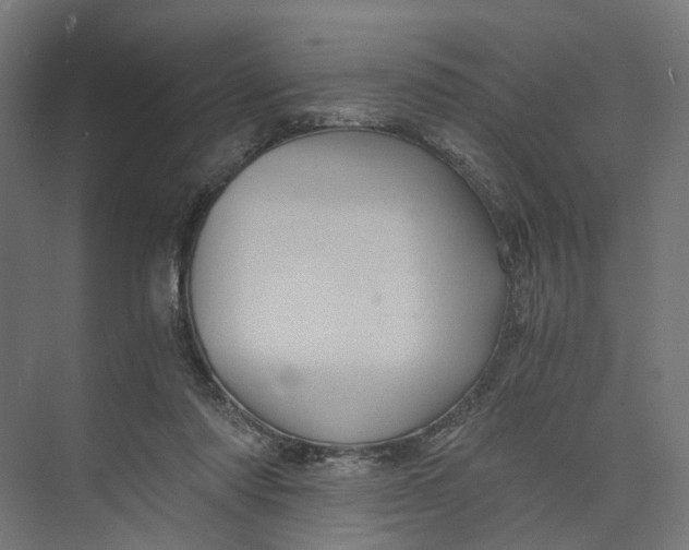 X0000073700310200608241424