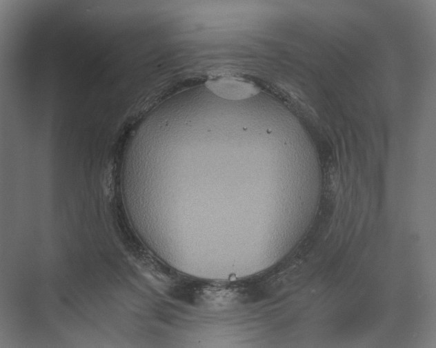 X0000073700311200608241424