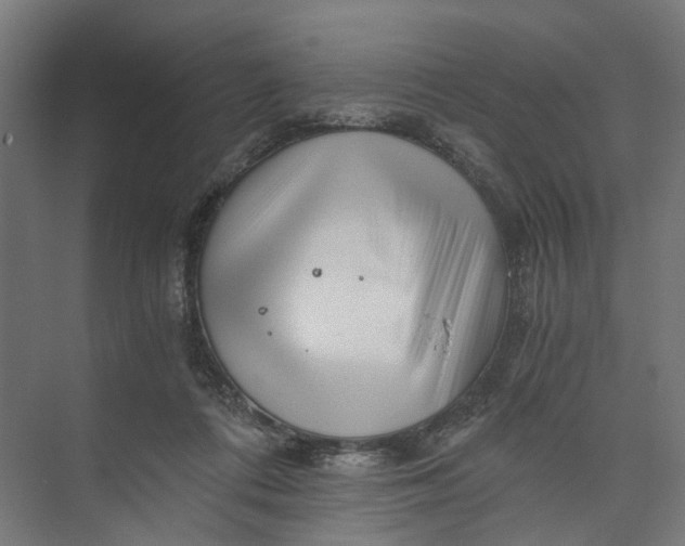 X0000073700312200608241424